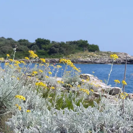 Katja Mit Balkon By Interhome 아파트 *