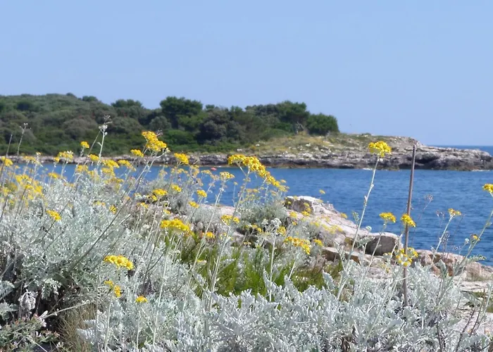Katja Mit Balkon By Interhome Lejlighed *